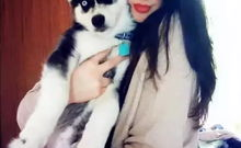 网红主人,从平凡到闪耀的蜕变之路